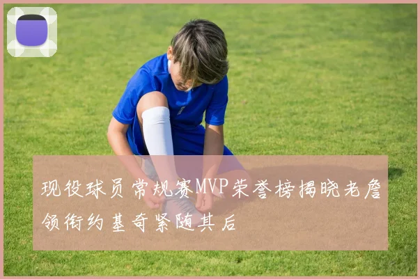 现役球员常规赛MVP荣誉榜揭晓老詹领衔约基奇紧随其后