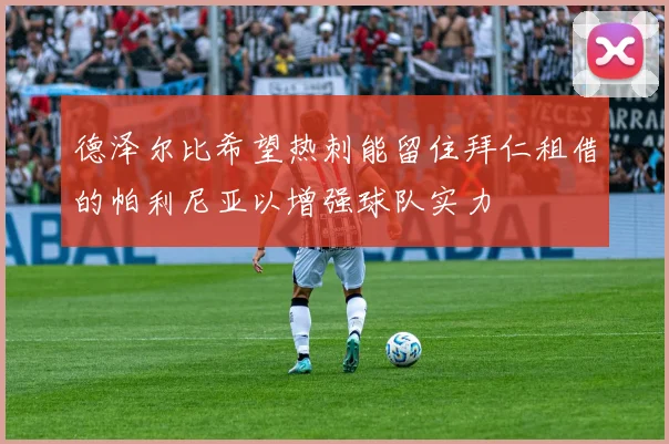 德泽尔比希望热刺能留住拜仁租借的帕利尼亚以增强球队实力